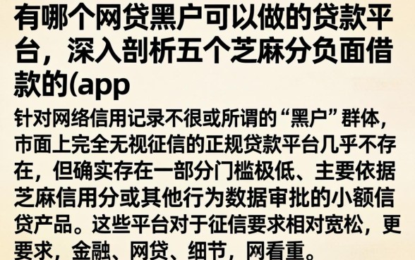 有哪个网贷黑户可以做的贷款平台，深入剖析五个芝麻分负面借款的app