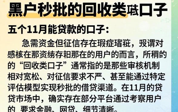 黑户秒批的回收类口子，详细阐述五个11月能贷款的口子
