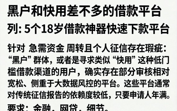 黑户和快用差不多的借款平台，条列5个18岁借款神器快速下款平台