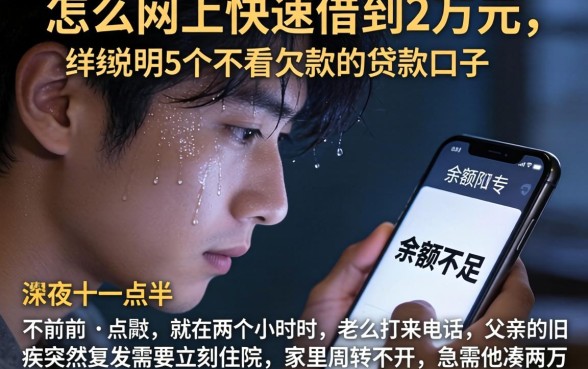 怎么网上快速借到2万元,详尽说明5个不看欠款的贷款口子