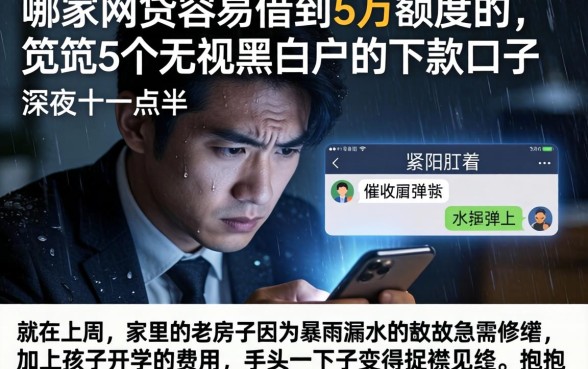 哪家网贷容易借到5万额度的,规整5个无视黑白户的下款口子