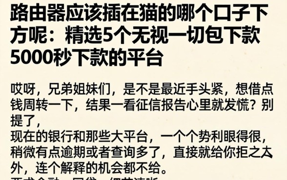 路由器应该插在猫的哪个口子下方呢，精选5个无视一切包下款5000秒下款的平台
