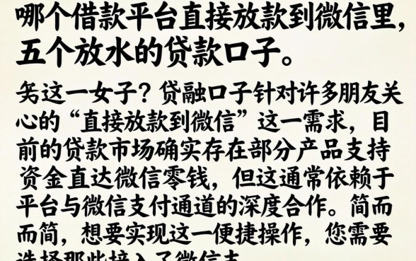 哪个借款平台直接放款到微信里，详细阐述五个放水的贷款口子