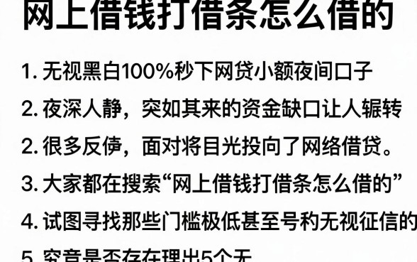 网上借钱打借条怎么借的,理出5个无视黑白100%秒下网贷小额夜间口子