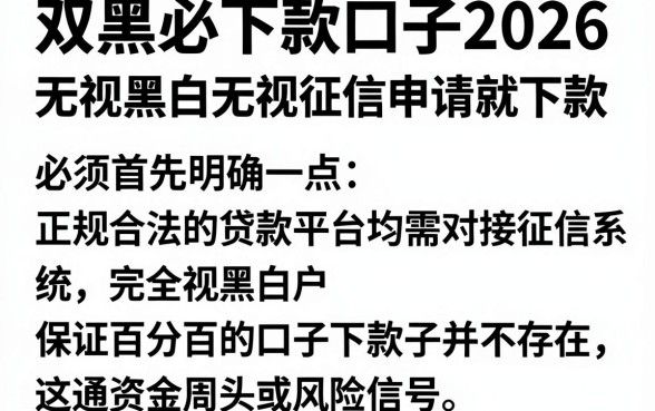 双黑必下款口子2026,枚举五个无视黑白无视征信申请就下款的app