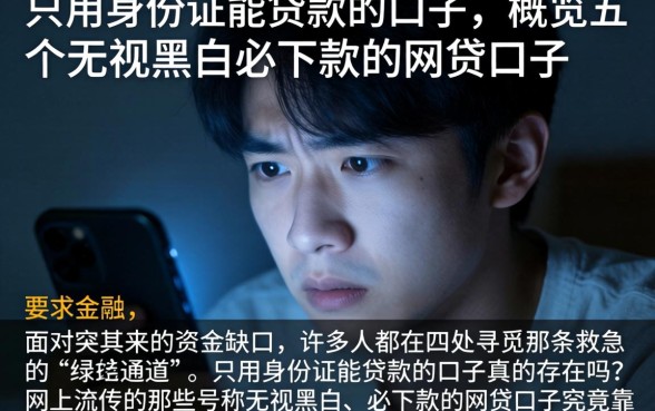 只用身份证能贷款的口子，概览五个无视黑白必下款的网贷口子
