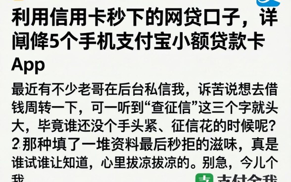 利用信用卡秒下的网贷口子，详细阐述5个手机支付宝小额贷款的app