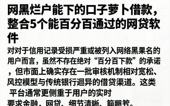 网黑烂户能下的口子萝卜借款，整合5个能百分百通过的网贷软件