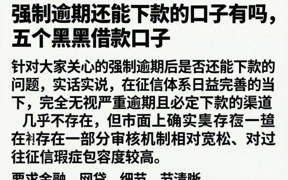 强制逾期还能下款的口子有吗,细致阐述五个黑户借款口子