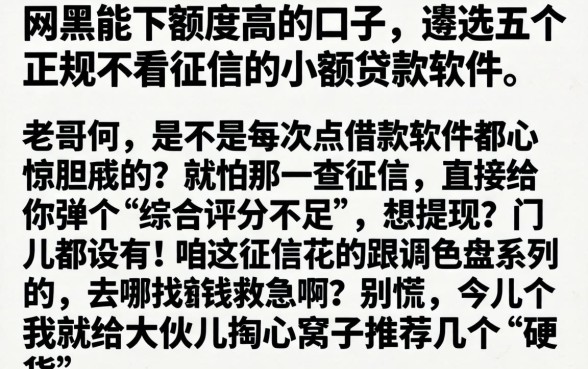 网黑能下额度高的口子，遴选五个正规不看征信的小额贷款软件