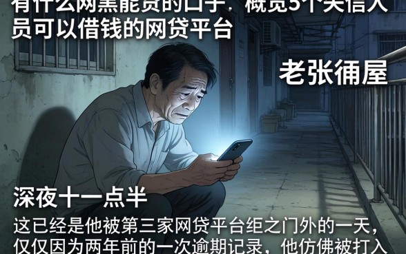 有什么网黑能贷的口子，概览5个失信人员可以借钱的网贷平台