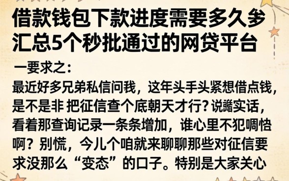 借款钱包下款进度需要多久，汇总5个秒批通过的网贷平台