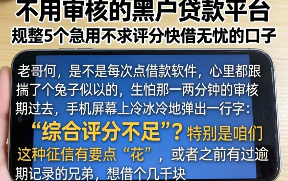 不用审核的黑户贷款平台,规整5个急用不求评分快借无忧的口子