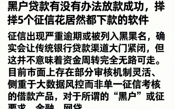 黑户贷款有没有办法放款成功，枚举5个征信花居然都下款的软件