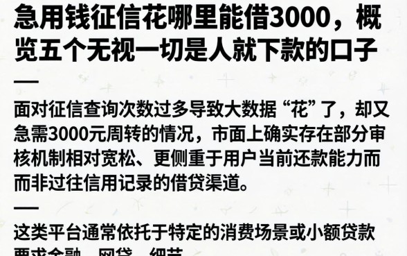 急用钱征信花哪里能借3000，概览五个无视一切是人就下款的口子