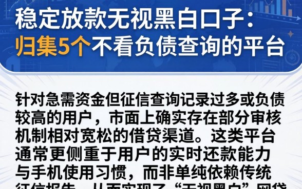 稳定放款无视黑白口子,归集5个不看负债查询的平台