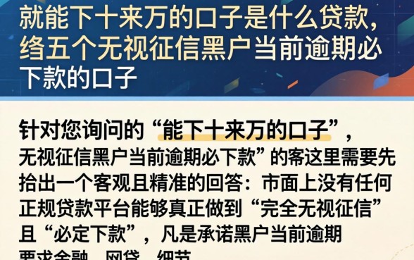 就能下十来万的口子是什么贷款，归纳五个无视征信黑户当前逾期必下款的口子