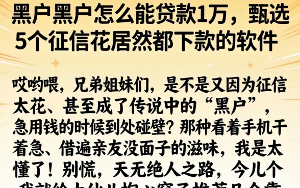 黑户黑户怎么能贷款1万，甄选5个征信花居然都下款的软件