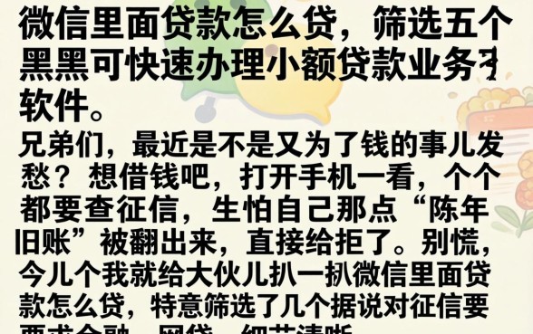 微信里面贷款怎么贷，筛选五个黑户可快速办理小额贷款业务的软件