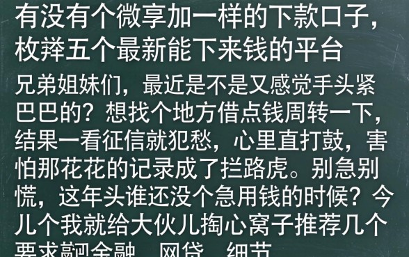 有没有个微享加一样的下款口子，枚举五个最新能下来钱的平台