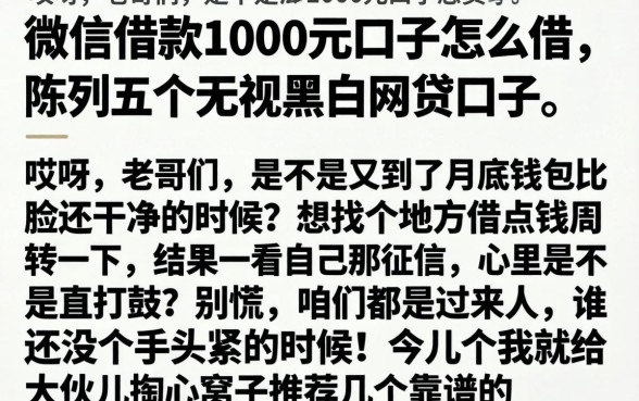 微信借款1000元口子怎么借，陈列五个无视黑白的网贷口子