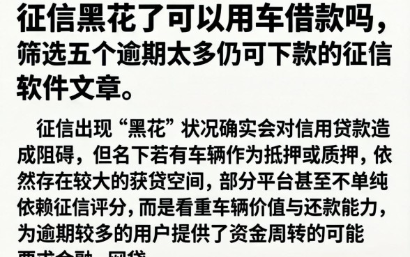 征信黑花了可以用车借款吗,筛选五个逾期太多仍可下款的软件