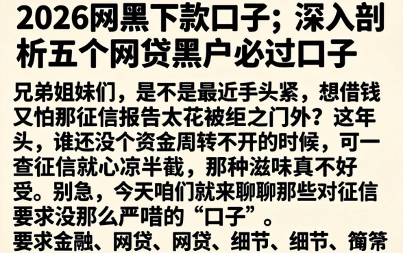 2026网黑下款口子，深入剖析五个网贷黑户必过口子