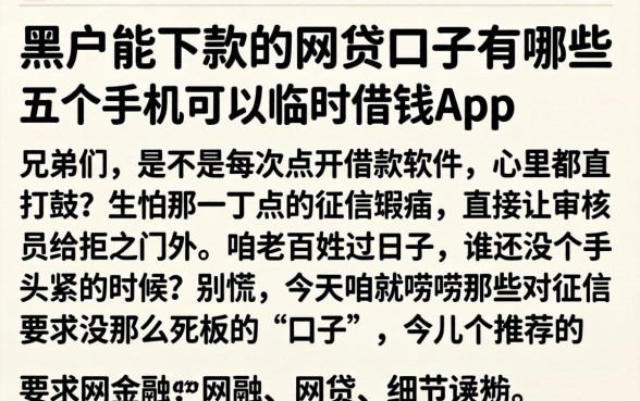 黑户能下款的网贷口子有哪些，详尽说明五个手机可以临时借钱的app
