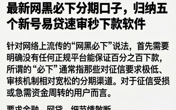 最新网黑必下分期口子,归纳五个新号易贷速审秒下款软件