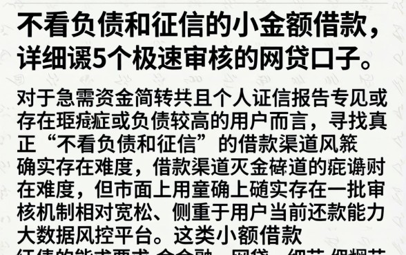 不看负债和征信的小额借款,详细阐述5个极速审核的网贷口子