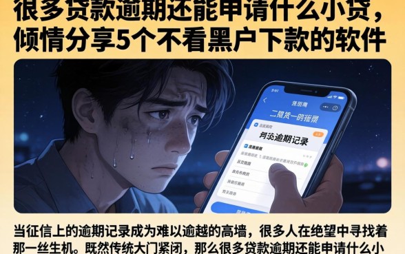 很多贷款逾期还能申请什么小贷，倾情分享5个不看黑户下款的软件