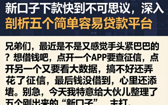 新口子下款快到不可思议，深入剖析五个简单容易贷款平台