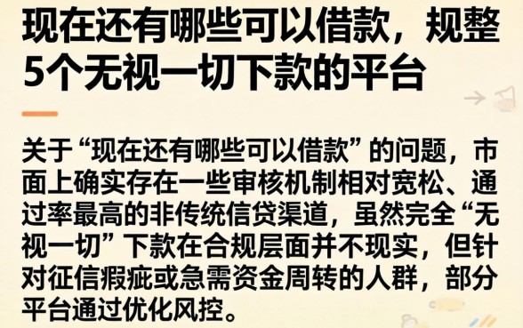 现在还有哪些可以借款，规整5个无视一切下款的平台