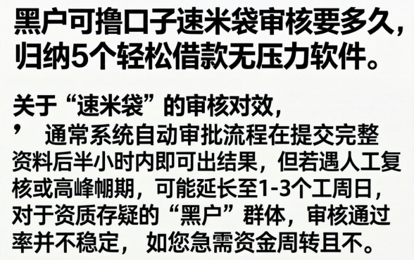 黑户可撸口子速米袋审核要多久，归纳5个轻松借款无压力软件