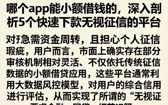哪个app能小额借钱的，深入剖析5个快速下款无视征信的平台