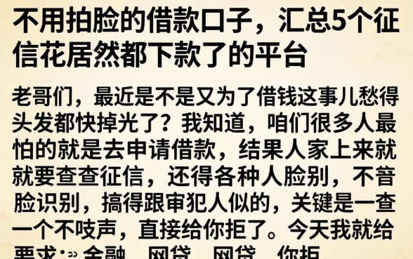 不用拍脸的借款口子，汇总5个征信花居然都下款了的平台