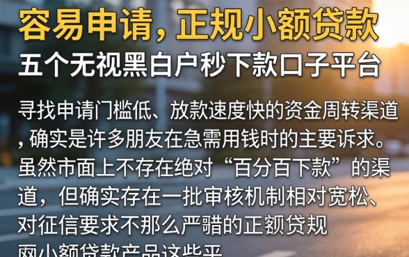 容易申请的正规小额贷款，详细阐述五个无视黑白户秒下款口子平台