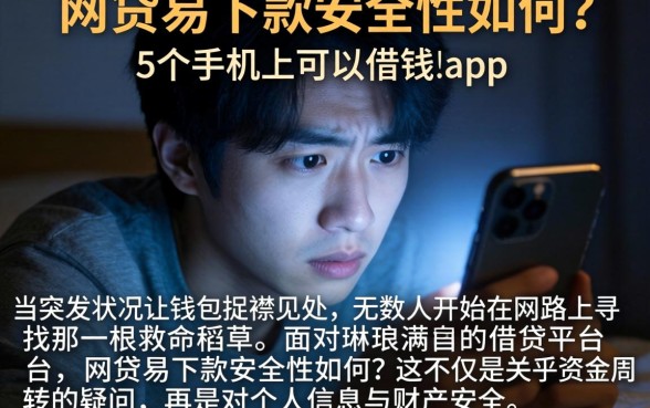 网贷易下款安全性如何，详细阐述5个手机上可以借钱的app