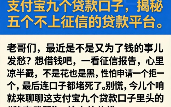 支付宝九个贷款口子，揭秘五个不上征信的贷款平台
