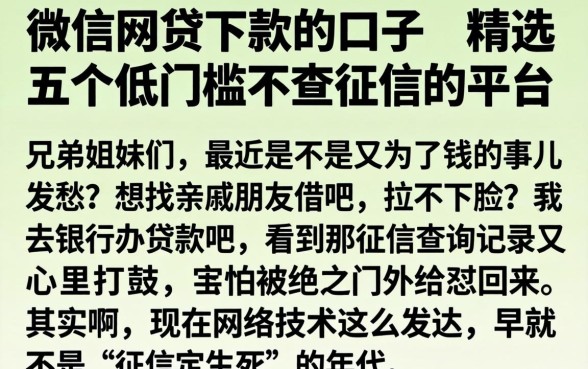 微信网贷下款的口子，精选五个低门槛不查征信的平台