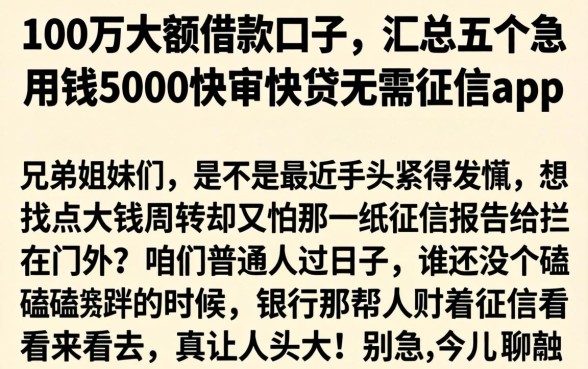 100万大额借款口子，汇总五个急用钱5000快审快贷无需征信app