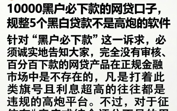 10000黑户必下款的网贷口子，规整5个黑白贷款不是高炮的软件