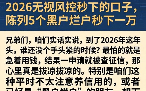 2026无视风控秒下的口子，陈列5个黑户烂户秒下一万