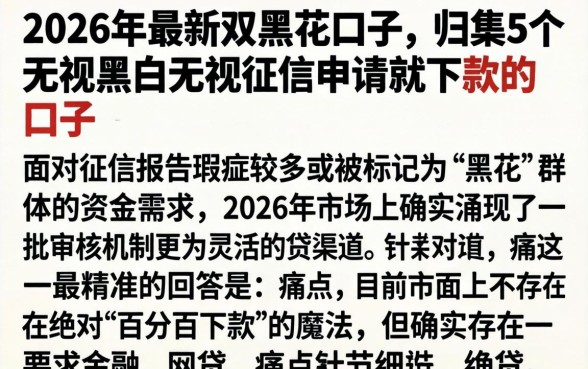 2026年最新双黑花口子，归集5个无视黑白无视征信申请就下款的口子