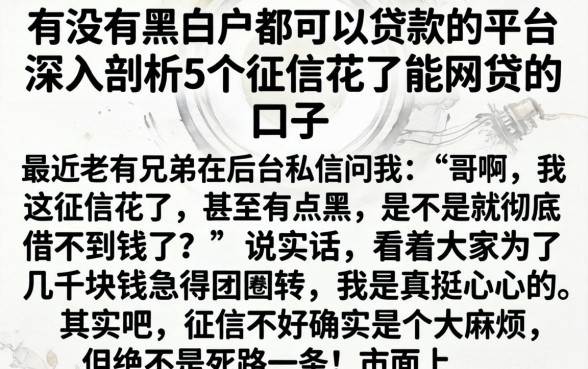 有没有黑白户都可以贷款的平台，深入剖析5个征信花了能网贷的口子