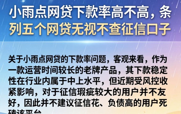 小雨点网贷下款率高不高,条列五个网贷无视不查征信口子
