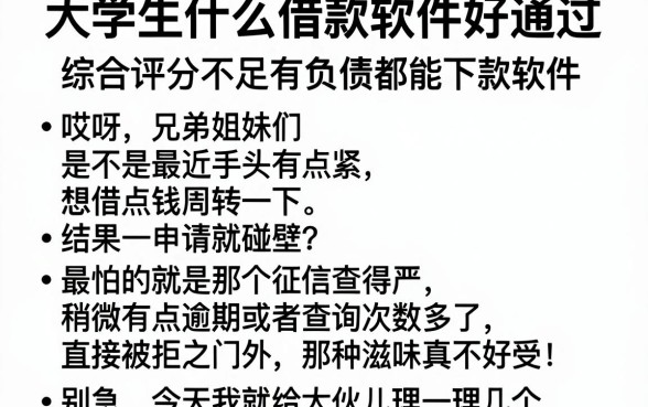 大学生什么借款软件好通过,理出五个综合评分不足有负债都能下款软件