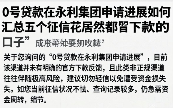 0号贷款在永利集团申请进展如何,汇总五个征信花居然都下款的口子