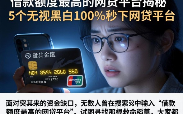 借款额度最高的网贷平台,揭秘5个无视黑白100%秒下网贷平台