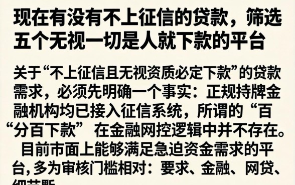 现在有没有不上征信的贷款,筛选五个无视一切是人就下款的平台